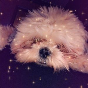 Meet your Posher, Natalie